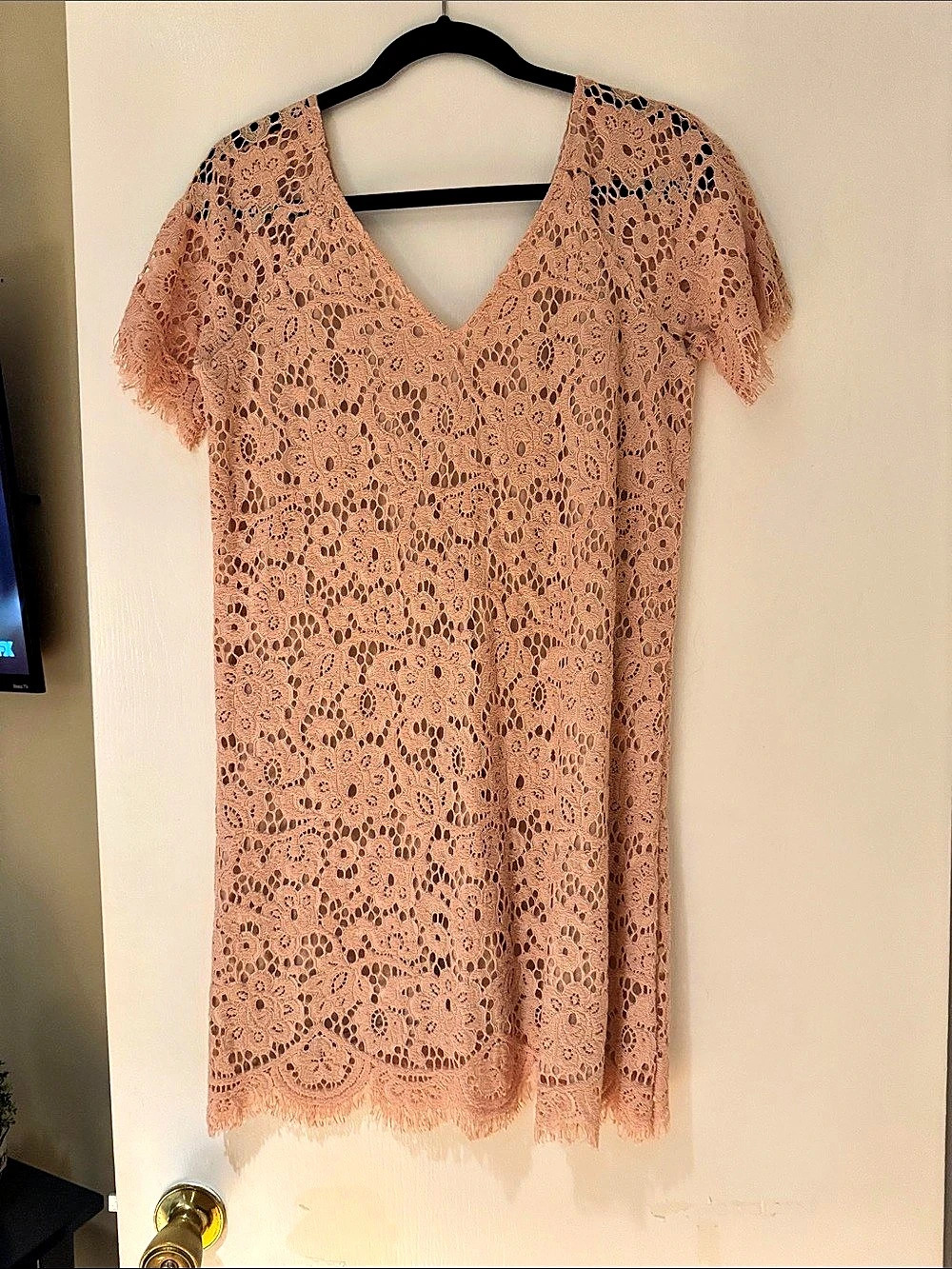BB Dakota Lace V-Neck Mini Dress in Pink Size Medium Like New